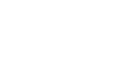 Logo Medvisis